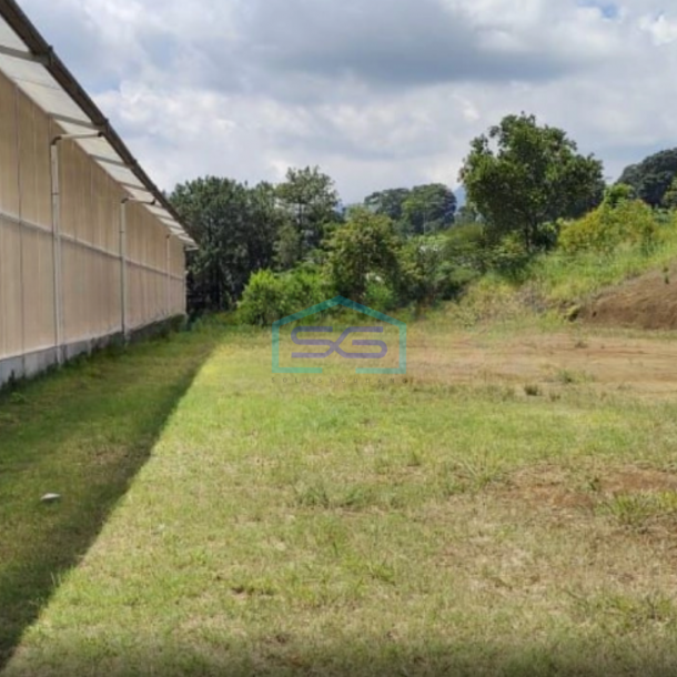 Dijual Tanah Kawasan Puncak Desa Kuta Megamendung Bogor LT 8000m2-1