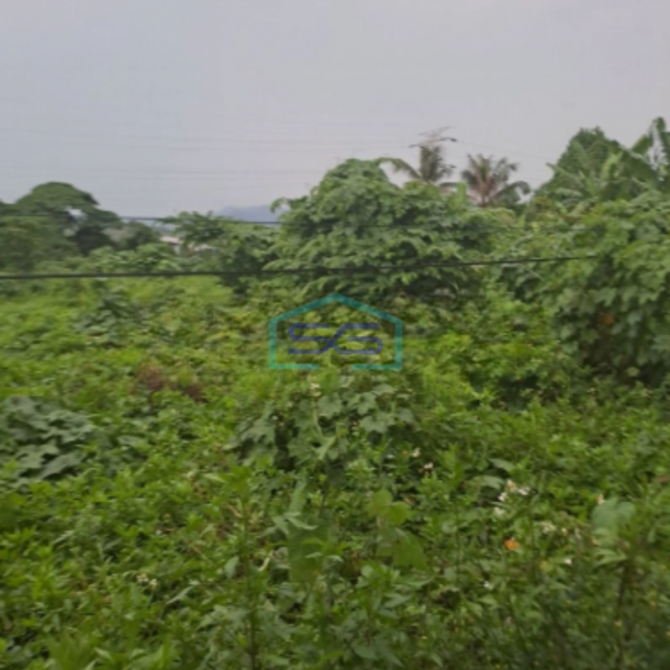 Dijual Tanah Depan Sirkuit Sentul Babakan Madang Bogor Luas Tanah 1700m2-1