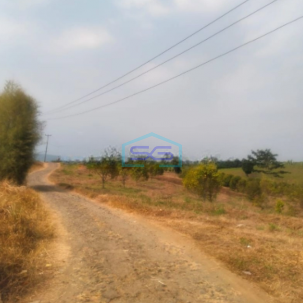 Dijual Tanah Mangun Jaya Bantargadung Sukabumi Akses Sangat Mudah-2