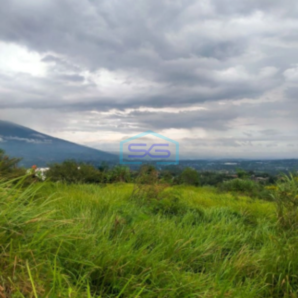 Dijual Tanah Desa Lembah Duhur Caringin Bogor Luas Tanah 8000m2-3