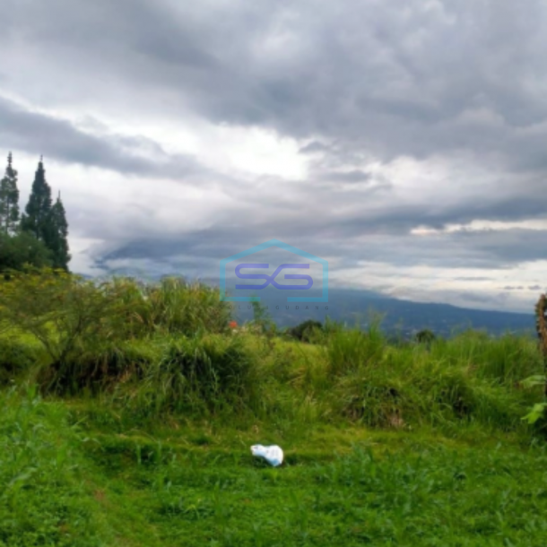 Dijual Tanah Desa Lembah Duhur Caringin Bogor Luas Tanah 8000m2-1