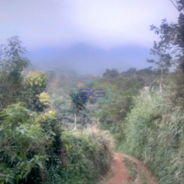 Dijual Tanah Cigombong Bogor Luas Tanah 12000m2 SHM-1