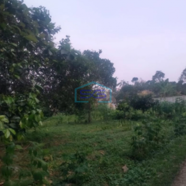 Dijual Tanah Cigombong Bogor Luas Tanah 12000m2 SHM-2