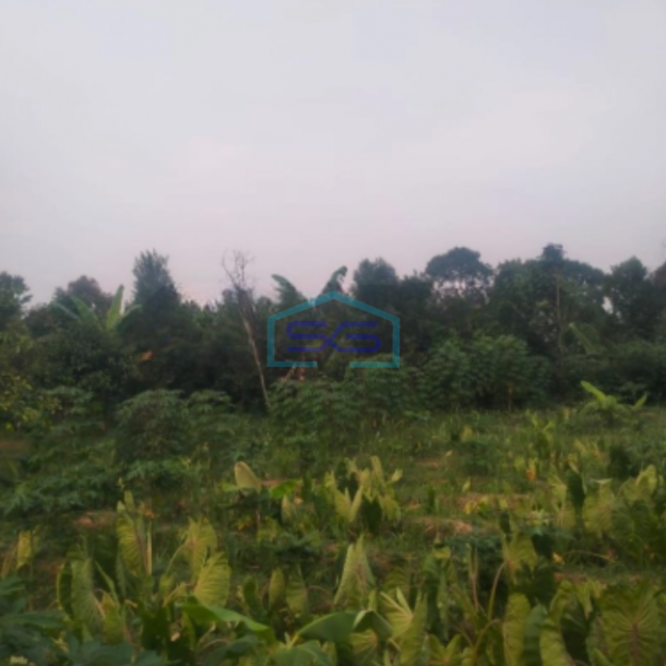 Dijual Tanah Cibalung Cijeruk Bogor LT 6000m2 Kontur Datar-2