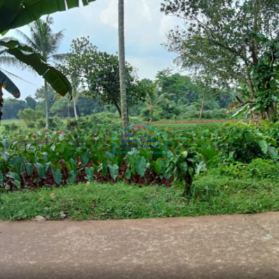 Dijual Tanah Di Kemang Bogor Luas Tanah 1250m2