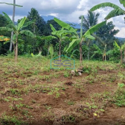 Dijual Tanah Parakan Salak Sukabumi Luas Tanah 4750m2