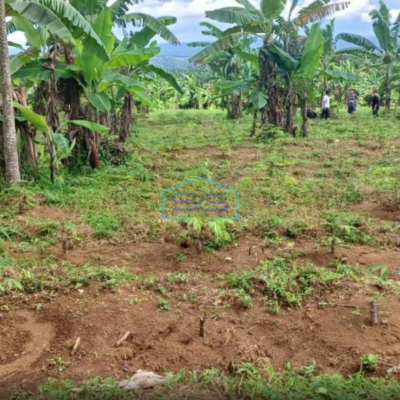 Dijual Tanah Parakan Salak Sukabumi Luas Tanah 4750m2