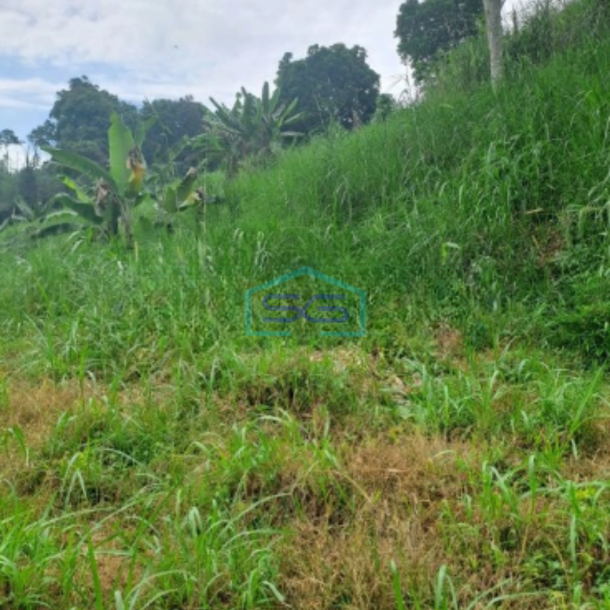 Dijual Tanah Di Cibodas Rumpin Bogor Jawa Barat LT 12000m2-4