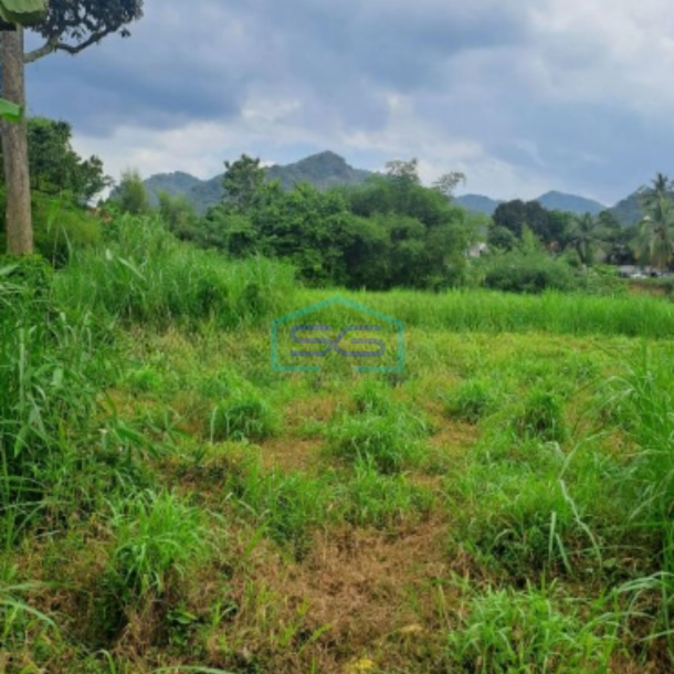 Dijual Tanah Di Cibodas Rumpin Bogor Jawa Barat LT 12000m2-3