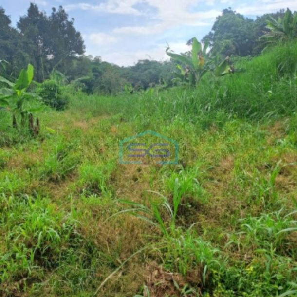 Dijual Tanah Di Cibodas Rumpin Bogor Jawa Barat LT 12000m2-2