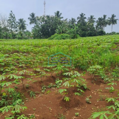 Dijual Tanah di Ci Bening Pamijahan Bogor Luas Tanah 72000m2