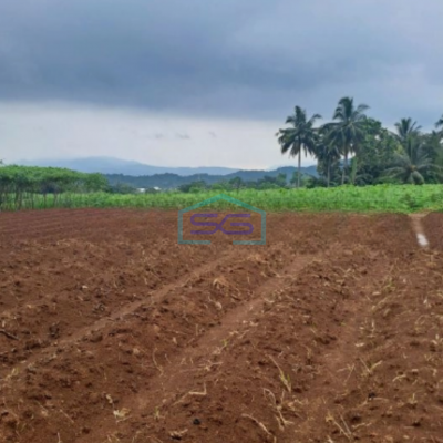 Dijual Tanah di Ci Bening Pamijahan Bogor Luas Tanah 72000m2