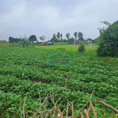 Dijual Tanah di Ci Bening Pamijahan Bogor Luas Tanah 72000m2