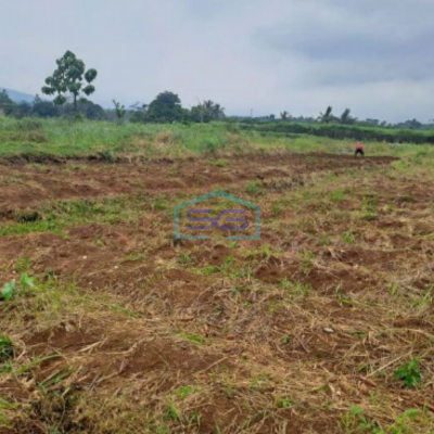 Dijual Tanah di Ci Bening Pamijahan Bogor Luas Tanah 72000m2