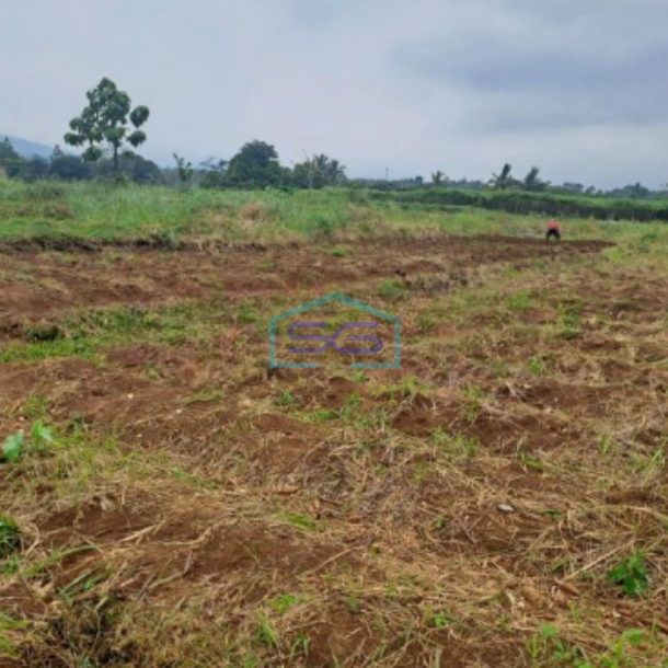 Dijual Tanah di Ci Bening Pamijahan Bogor Luas Tanah 72000m2-2