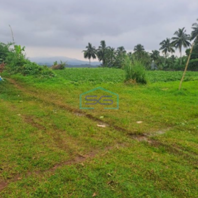Dijual Tanah di Ci Bening Pamijahan Bogor Luas Tanah 72000m2