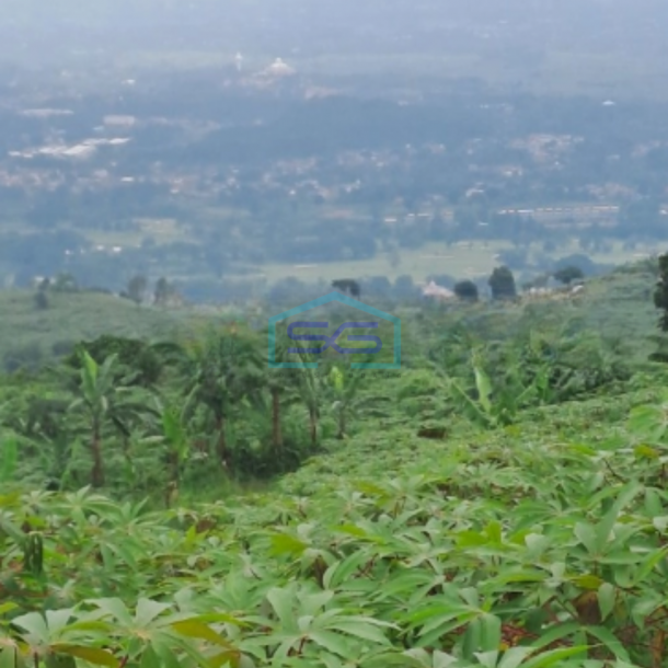 Dijual Tanah Di Sentul Citeureup Bogor Luas Tanah 105 Hektar-5