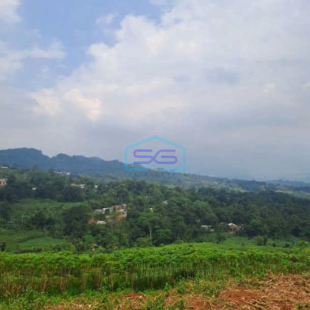 Dijual Tanah Di Sentul Citeureup Bogor Luas Tanah 105 Hektar-4