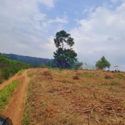 Dijual Tanah Di Sentul Citeureup Bogor Luas Tanah 105 Hektar