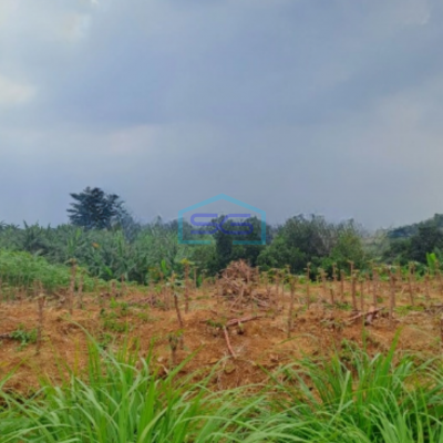 Dijual Tanah Di Sentul Citeureup Bogor Luas Tanah 105 Hektar