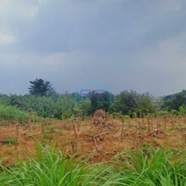 Dijual Tanah Di Sentul Citeureup Bogor Luas Tanah 105 Hektar-2