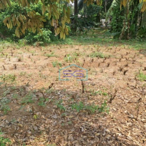 Dijual Tanah Di Kemang Bogor Luas Tanah 3500m2 SHM-3