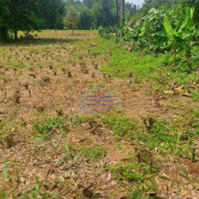 Dijual Tanah Di Kemang Bogor Luas Tanah 3500m2 SHM