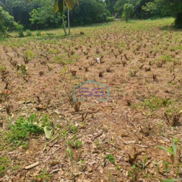 Dijual Tanah Di Kemang Bogor Luas Tanah 3500m2 SHM-1