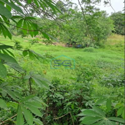 Dijual Tanah Strategis di Batu Jajar Ci Gudeg Bogor Luas Tanah 46000m2