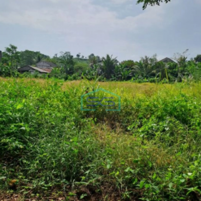 Dijual Tanah Strategis di Batu Jajar Ci Gudeg Bogor Luas Tanah 46000m2