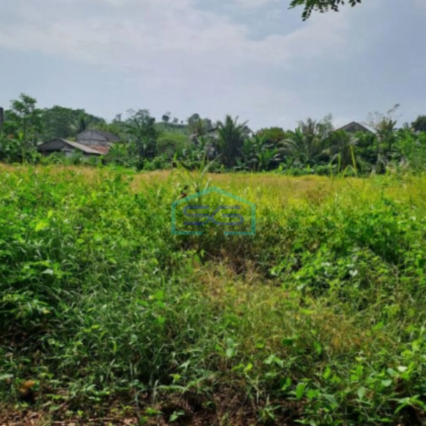 Dijual Tanah Strategis di Batu Jajar Ci Gudeg Bogor Luas Tanah 46000m2-2