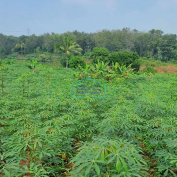 Dijual Tanah Lokasi Strategis Di Rumpin Bogor Jawa Barat LT 5000m2-1