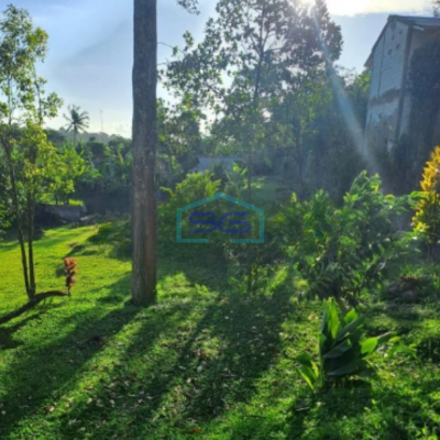 Dijual Tanah Plus Bangunan di Desa Cipayung Megamendung Bogor LT 3000m2