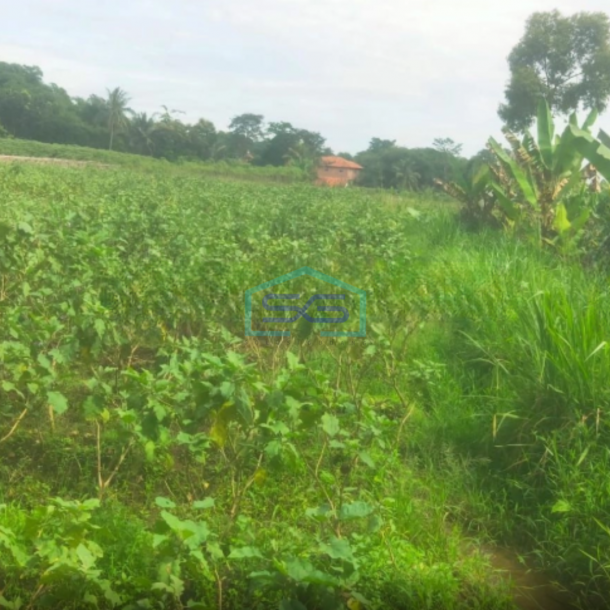 Dijual Tanah Desa Cibungbulang Bogor Barat Jawa Barat LT 70000m2-3