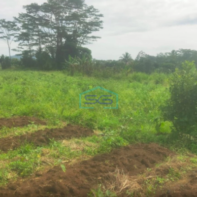 Dijual Tanah Desa Cibungbulang Bogor Barat Jawa Barat LT 70000m2