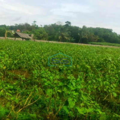 Dijual Tanah Desa Cibungbulang Bogor Barat Jawa Barat LT 70000m2