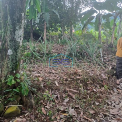 Dijual Tanah di Sentul City Bogor Dengan Luas 3000m2