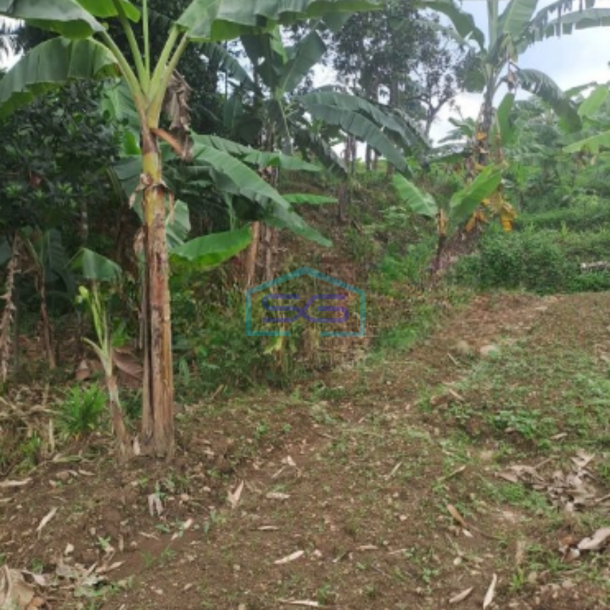 Dijual Tanah di Sentul City Bogor Dengan Luas 3000m2-3