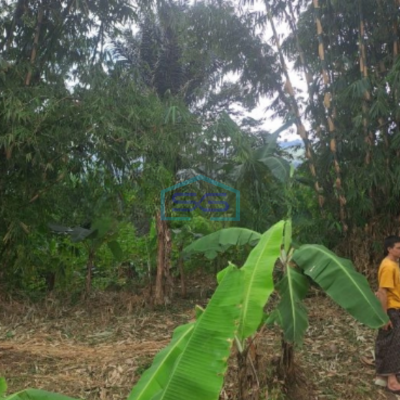 Dijual Tanah di Sentul City Bogor Dengan Luas 3000m2