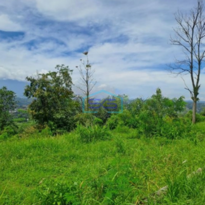 Dijual Tanah Sangat Bagus Di Desa Pasir Angin Bogor Luas Tanah 10200m2