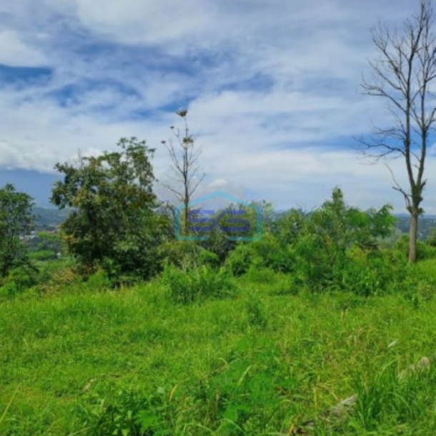 Dijual Tanah Sangat Bagus Di Desa Pasir Angin Bogor Luas Tanah 10200m2-3