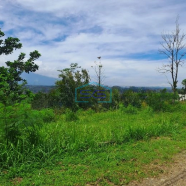 Dijual Tanah Sangat Bagus Di Desa Pasir Angin Bogor Luas Tanah 10200m2-1