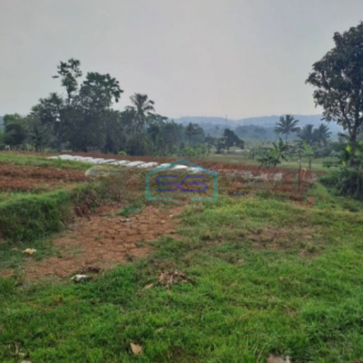 Dijual Tanah Bagus di Desa Cileungsi Ciawi Bogor Luas Tanah 5000m2