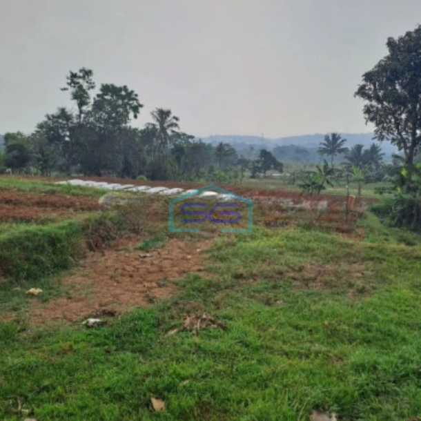 Dijual Tanah Bagus di Desa Cileungsi Ciawi Bogor Luas Tanah 5000m2-1