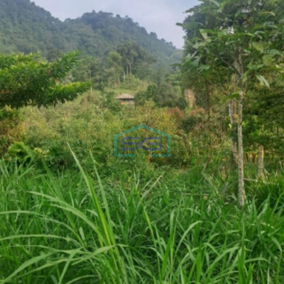 Dijual Tanah Di Parig Nanggung Bogor Luas Tanah 200000m2