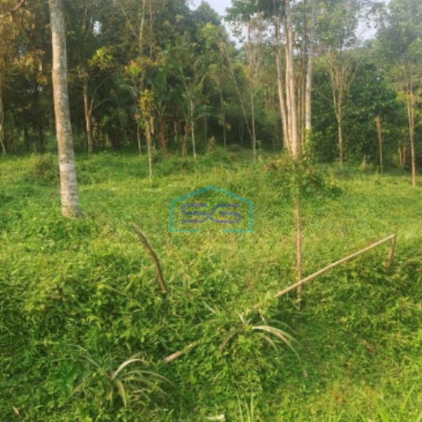 Dijual Tanah Di Parig Nanggung Bogor Luas Tanah 200000m2-2