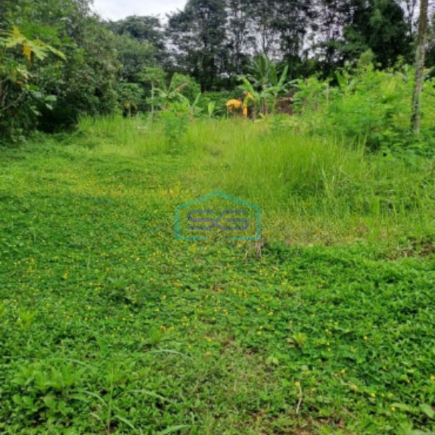 Dijual Tanah Di Ciseeng Bogor Luas Tanah 10000m2  Cocok Untuk Investasi-1