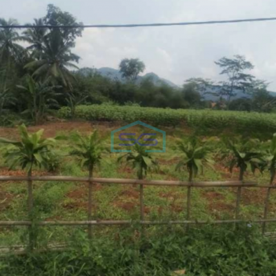 Dijual Tanah Lokasi Strategis di Desa Gobang Rumpin Bogor LT 2875m2