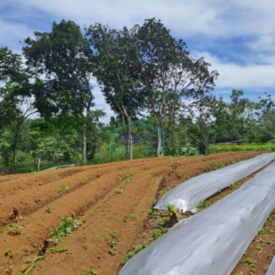 Dijual Tanah Bagus di Kawasan Sumarecon Bogor Luas Tanah 9000m2