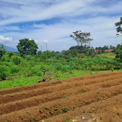 Dijual Tanah Bagus di Kawasan Sumarecon Bogor Luas Tanah 9000m2